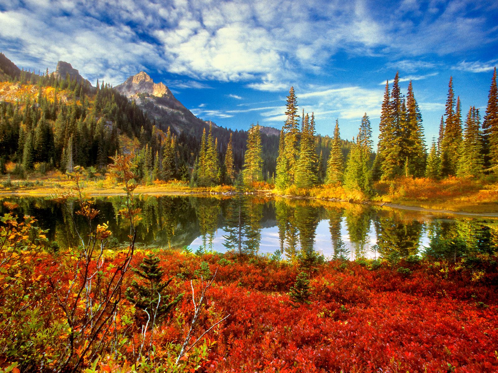 Top 200 hình nền thiên nhiên full HD đẹp nhất thế giới