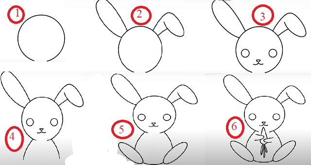 Các bước vẽ con thỏ chi tiết