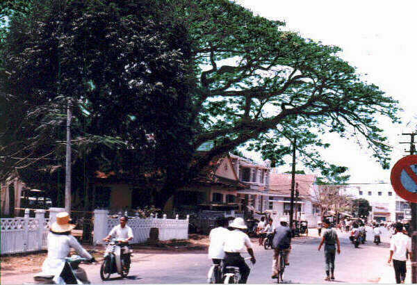 Đường Lê Lợi năm 1968 - bên trái là cây còng, bên phải là quán cà phê Vân