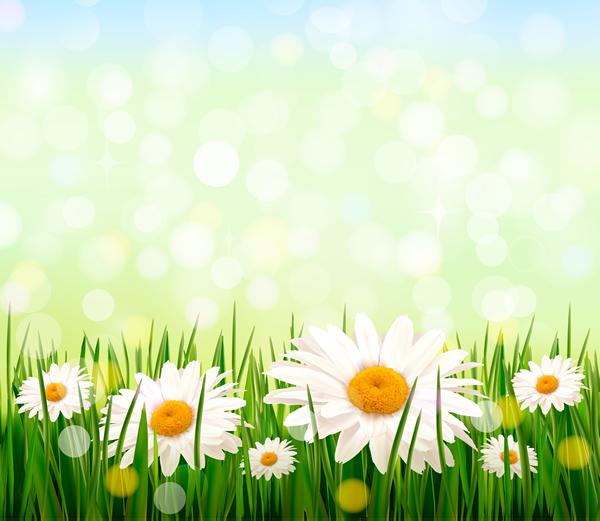 Background hoa lá cỏ