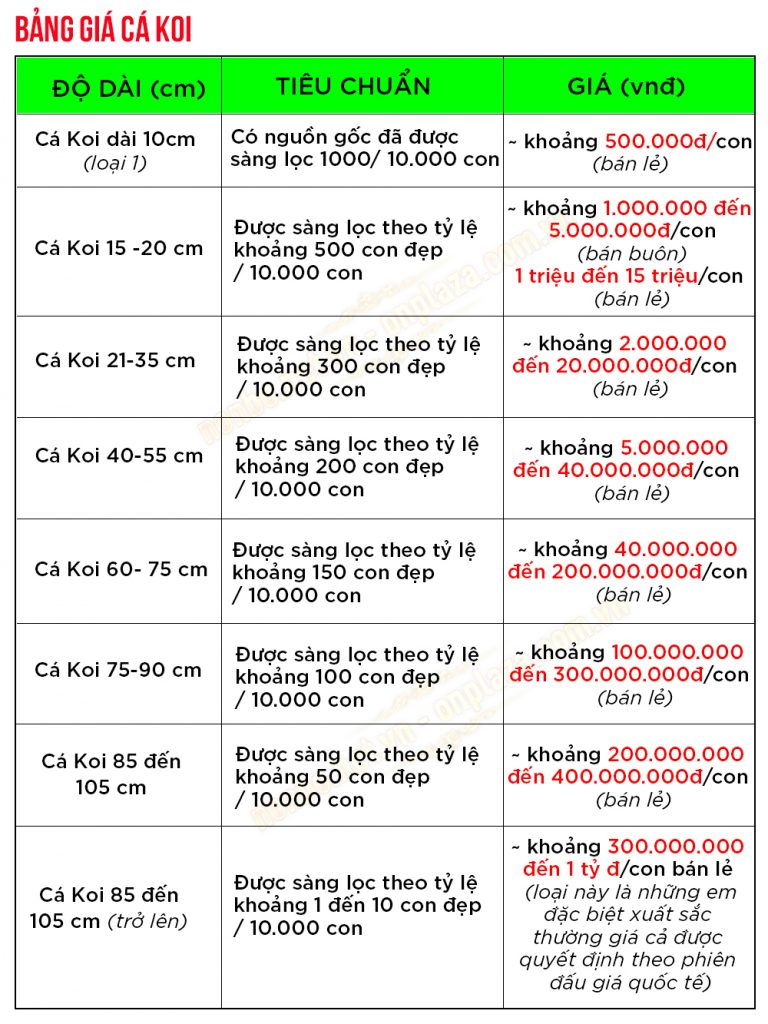 Bảng giá cá Koi chi tiết