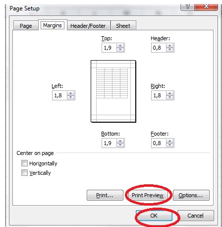  Cách chỉnh căn lề trong Excel. Hình 3
