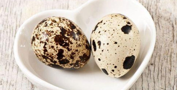 Trứng chim cút - cách luộc trứng cút