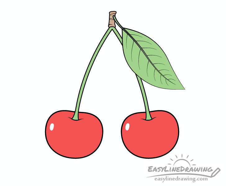 cherries drawing - Hướng dẫn cách Vẽ quả Cherry đơn giản ấn tượng