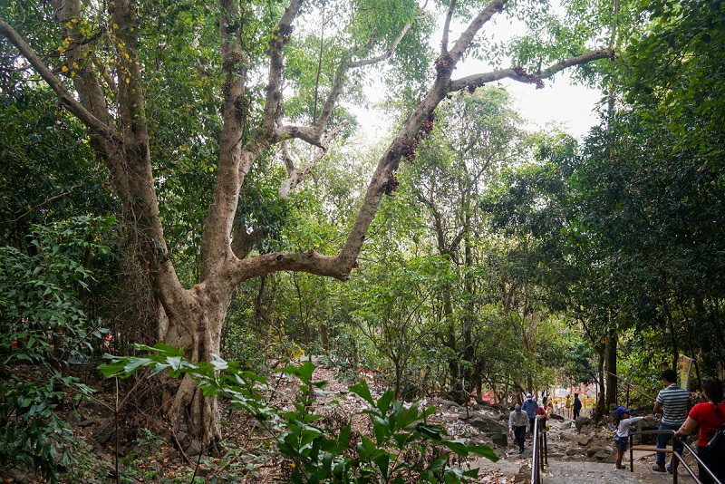 Đường đi bộ từ chân núi lên chùa Bà Đen Tây Ninh (Ảnh: sưu tầm)