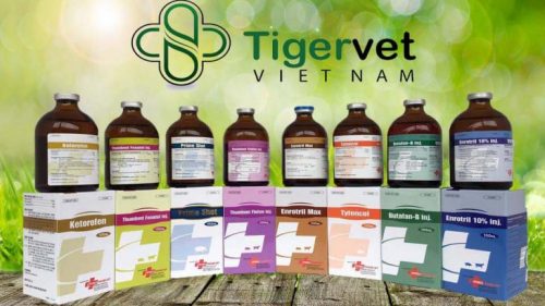 Công ty TNHH Tigervet Việt Nam - nhà sx thuốc thú y uy tín tại Việt Nam