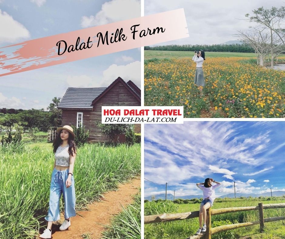 Dalat Milk Farm