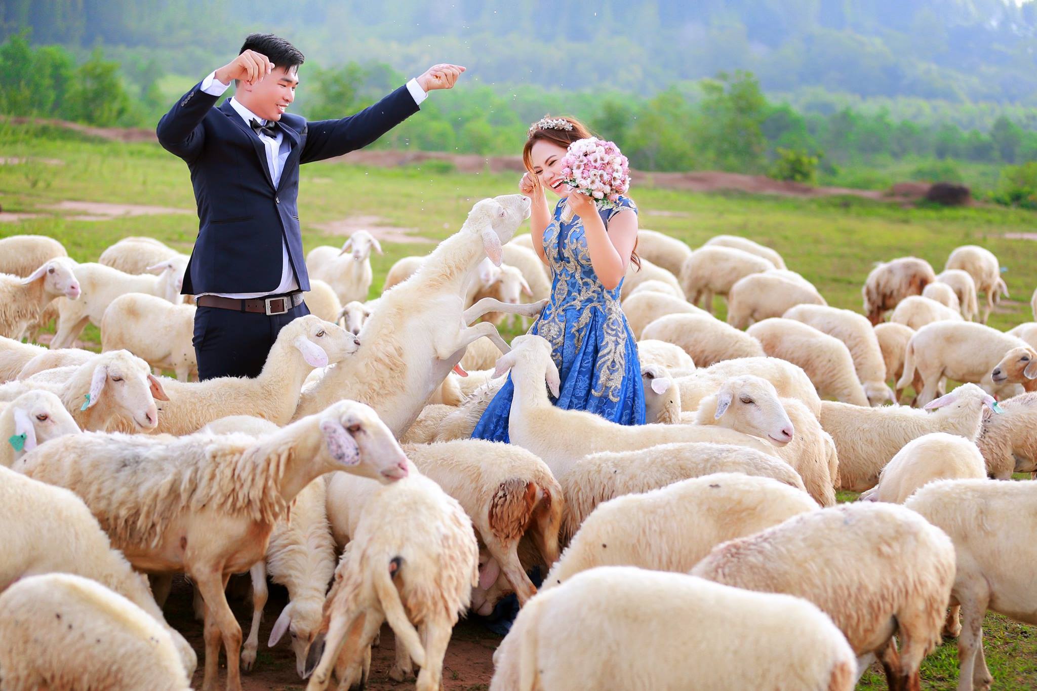 Đồng cừu Suối Nghệ - địa điểm chụp ảnh cưới Vũng Tàu