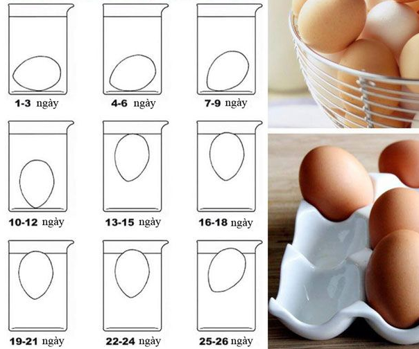 Cách luộc trứng chuẩn thời gian cho từng loại ngon cực đơn giản - 9