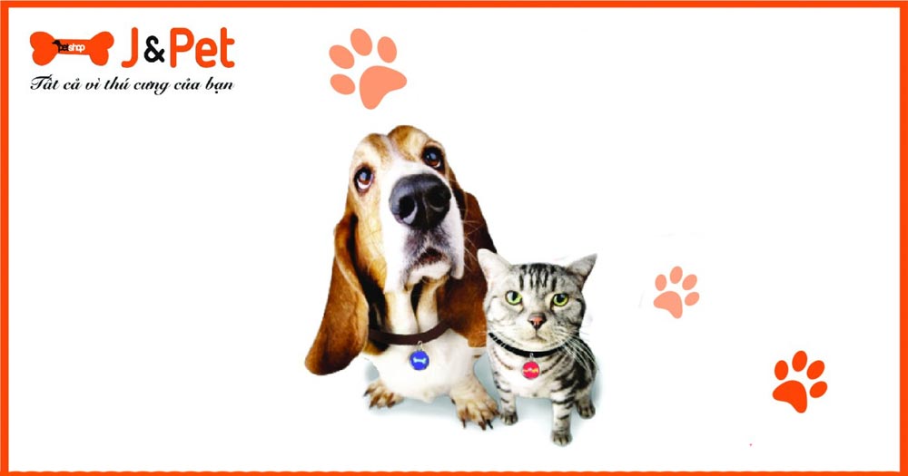 J&Pet- Cửa hàng thú cưng, Spa chăm sóc thú cưng