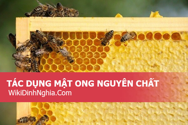 Uống mật ong nguyên chất có tốt không, mua mật ong nguyên chất ở đâu tại Tphcm, giá bao nhiêu 1 lít?