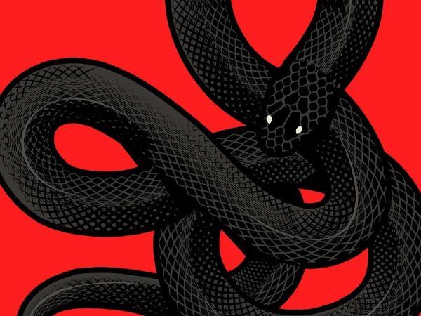 Nằm mơ thấy rắn đen đánh con gì, số mấy dễ trúng?