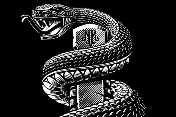 Nằm mơ thấy rắn đen đánh con gì, có điềm báo gì | Giải mã giấc mộng thấy rắn màu đen chi tiết và đầy đủ nhất