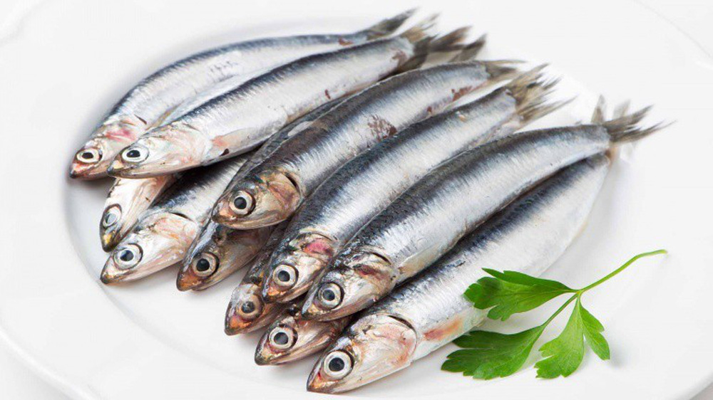 Danh sách 11 loại cá chứa nhiều chất dinh dưỡng có lợi cho sức khỏe - Ảnh 9.