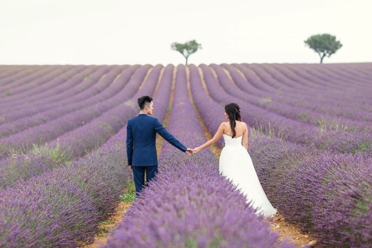 y nghi cua hoa lavender trong tinh yeu