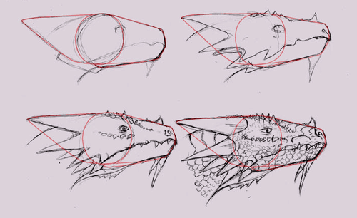 Hướng dẫn vẽ: Cách vẽ đầu rồng trong Side View
