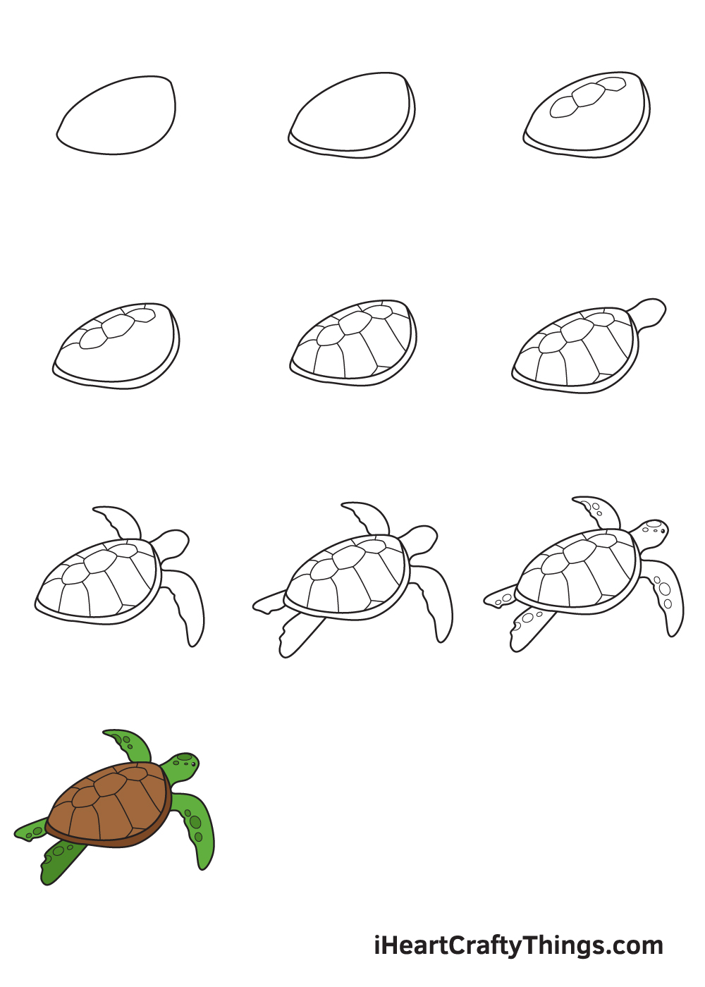 Drawing Sea Turtle in 10 Easy Steps - Hướng dẫn chi tiết cách vẽ con rùa từng bước
