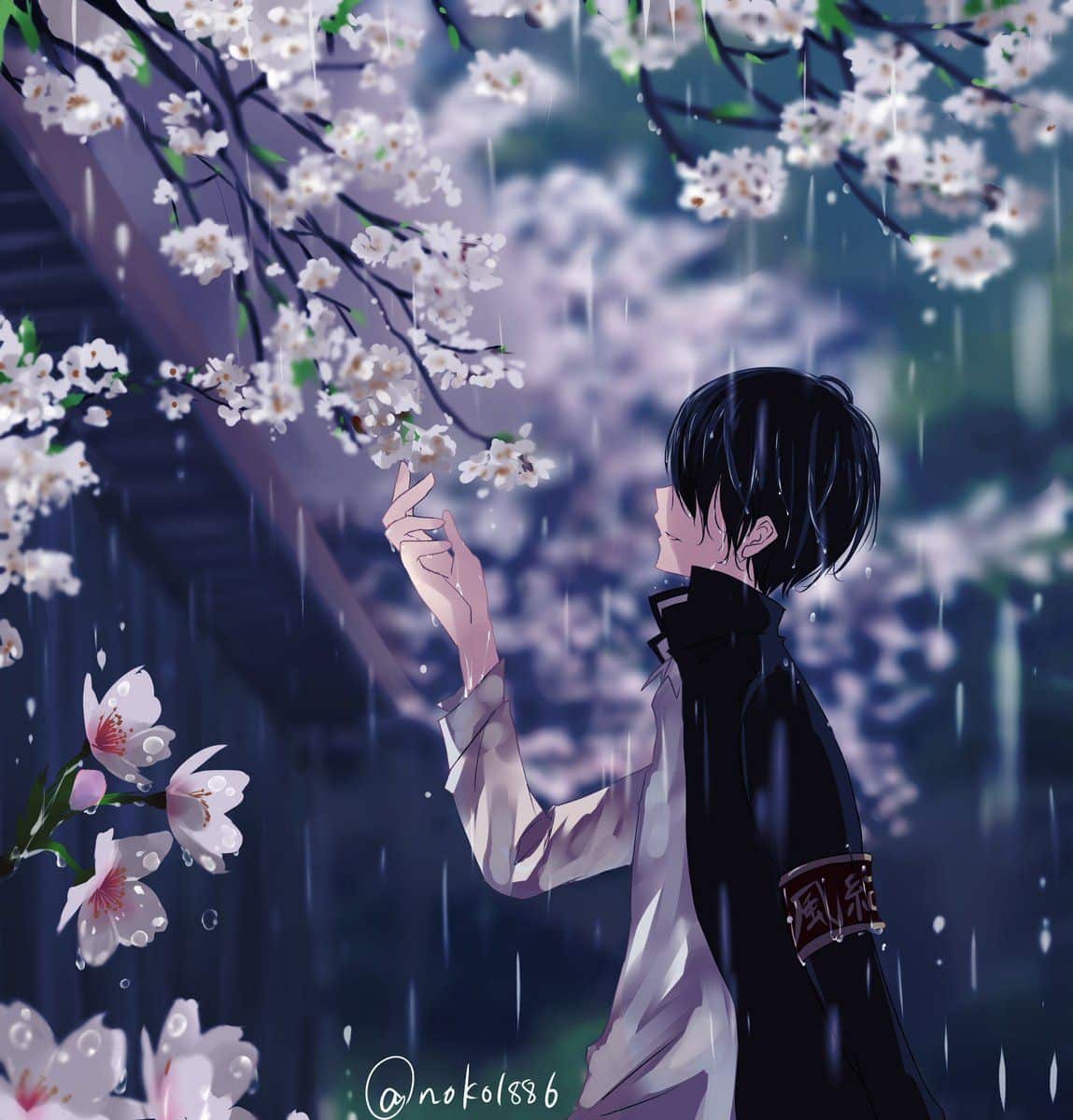 Hình Hoa Anh Đào Anime một mình dưới mưa