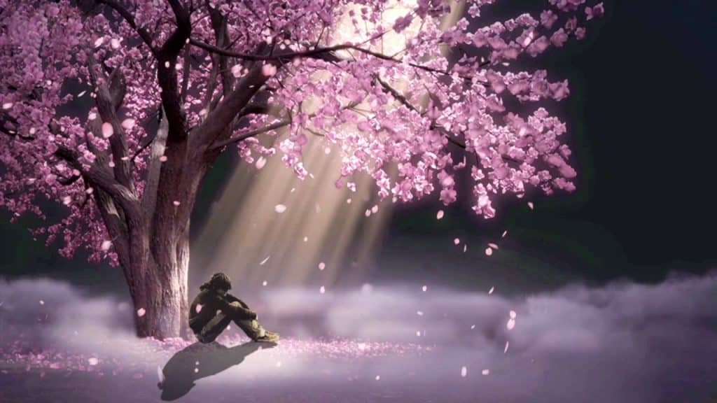 Hình Hoa Anh Đào Anime ngồi một mình dưới gốc cây
