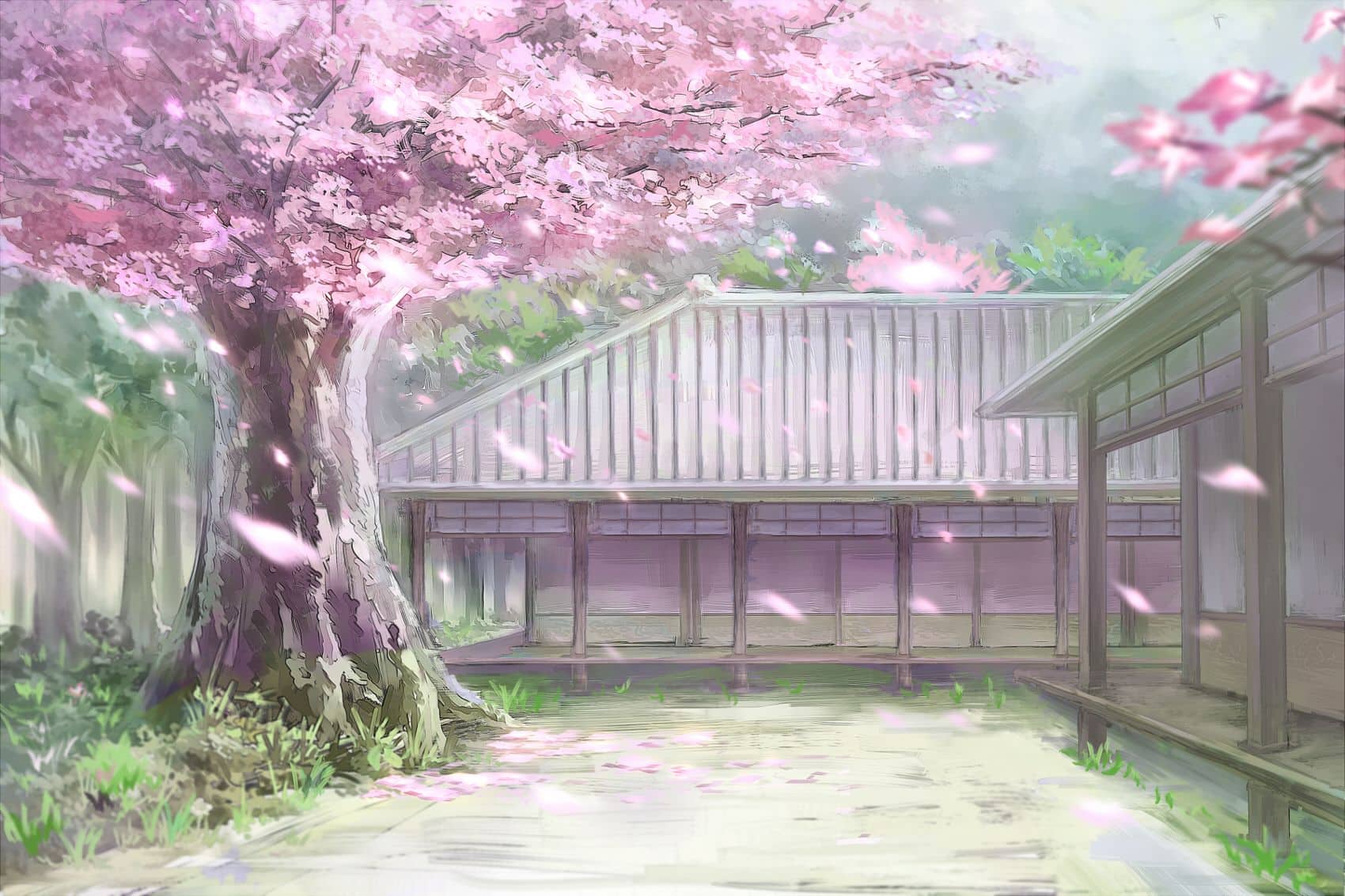 Hình Phong Cảnh Thiên Nhiên Anime hoa anh đào đep mê hồn
