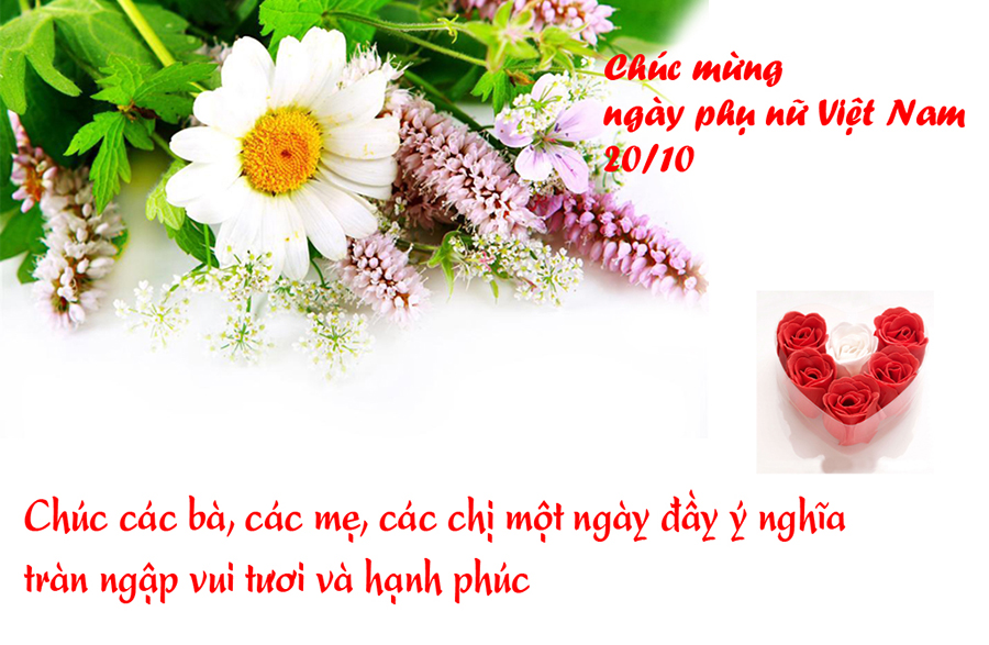 Lời chúc mừng ngày 20-10 gửi tặng phụ nữ Việt nam ý nghĩa nhất