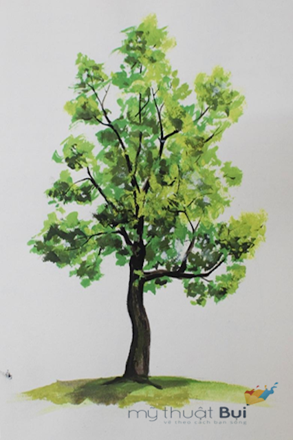 ve cay - Hướng dẫn chi tiết cách vẽ cây đơn giản với 9 bước cơ bản