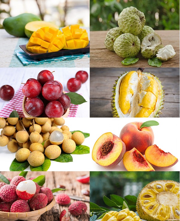 ăn nhiều hoa quả có béo không, ăn hoa quả có béo không, ăn hoa quả có bị béo không