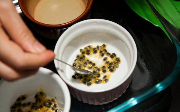 Cách làm caramen chanh leo – phân tán hạt chanh leo vào các cốc sứ