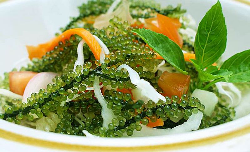 Salad Rong nho 2