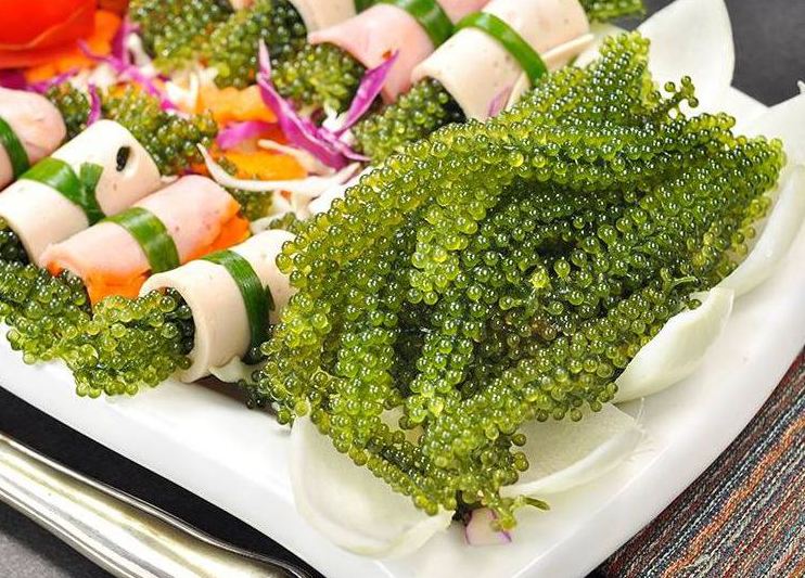 Salad Rong nho 4