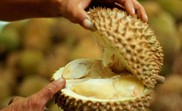Khi ăn sầu riêng, nên kết hợp thuộc những loại quả có tính mát