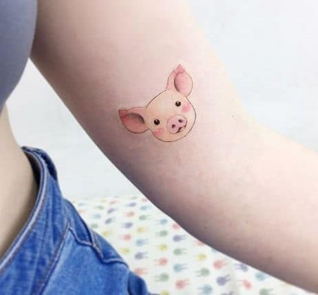 Tattoo mặt lợn đơn giản và dễ thương
