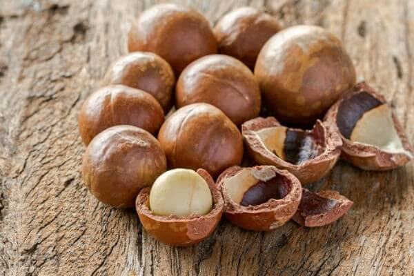 Hạt quả Macca (mắc ca) - Tên tiếng Anh Macadamia Nuts