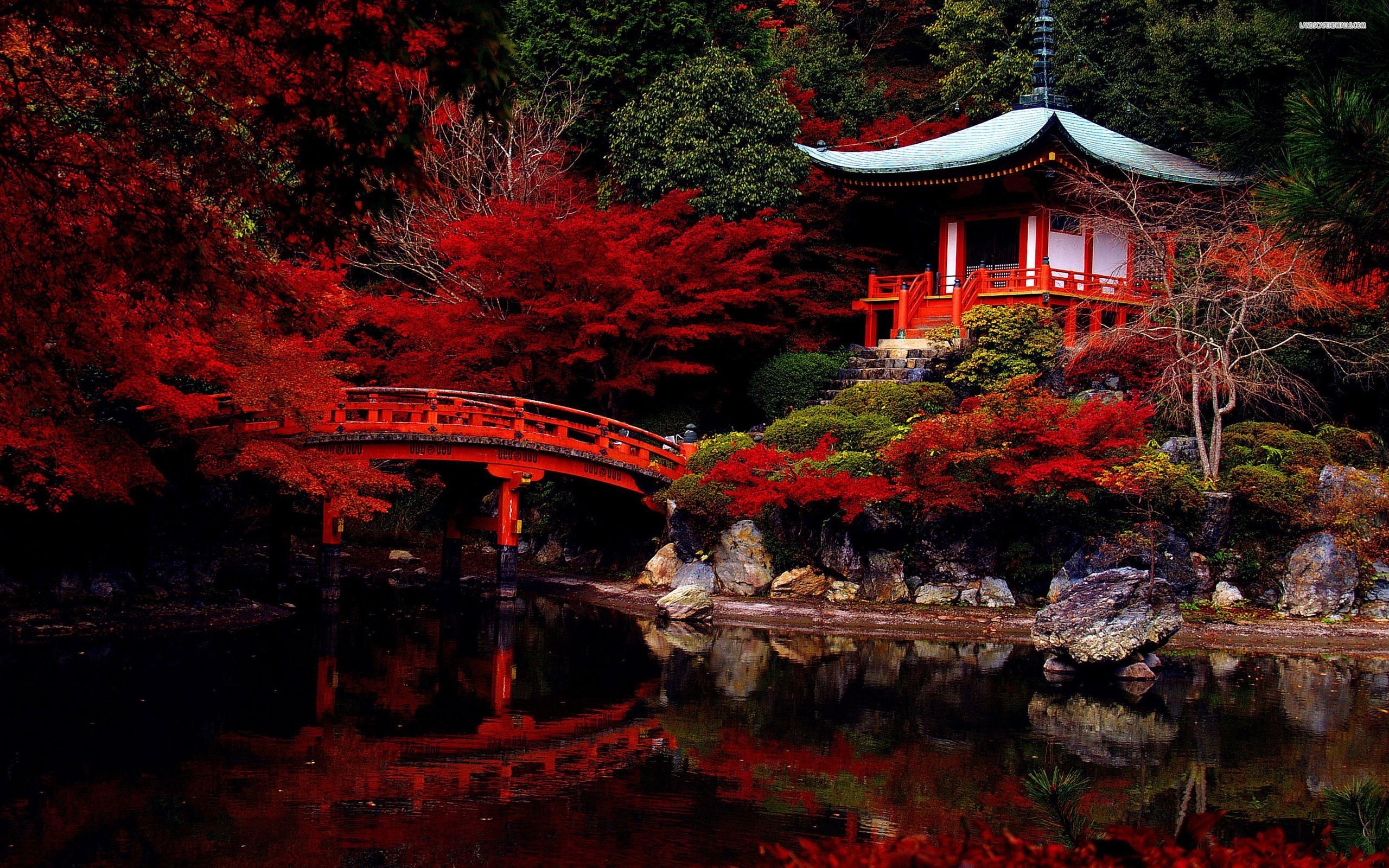 Cảnh đẹp đỏ thắm non nước tại Nhật