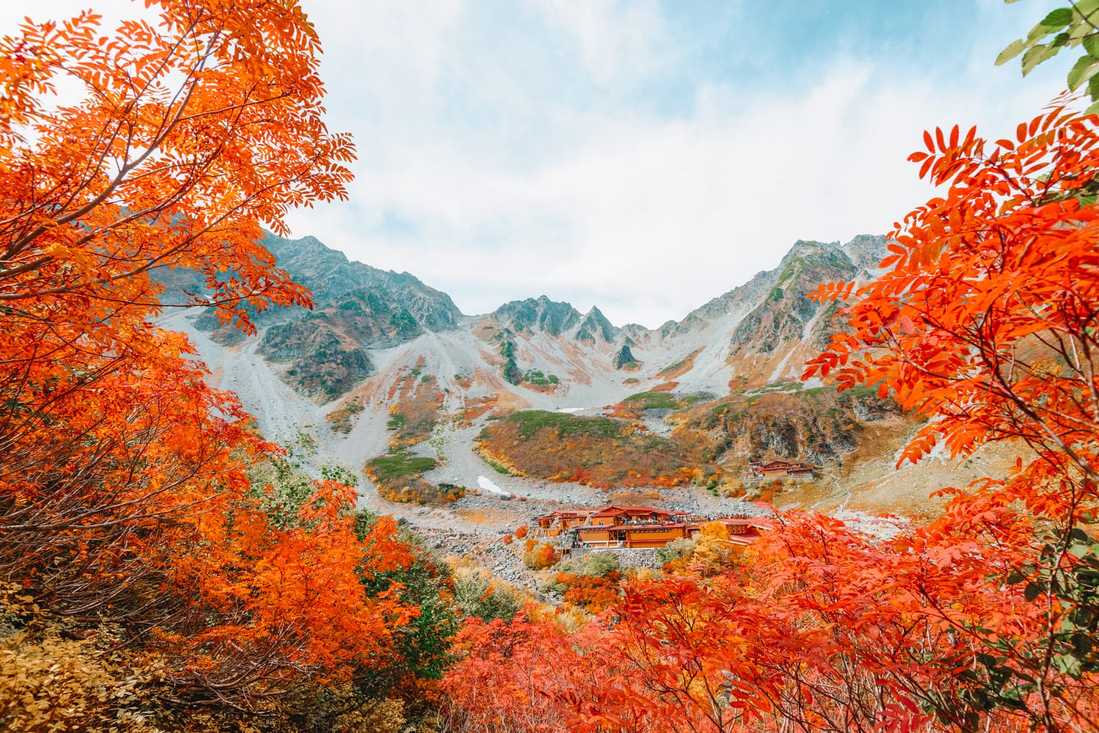 Cảnh đẹp rừng phong lá đỏ tại Nhật