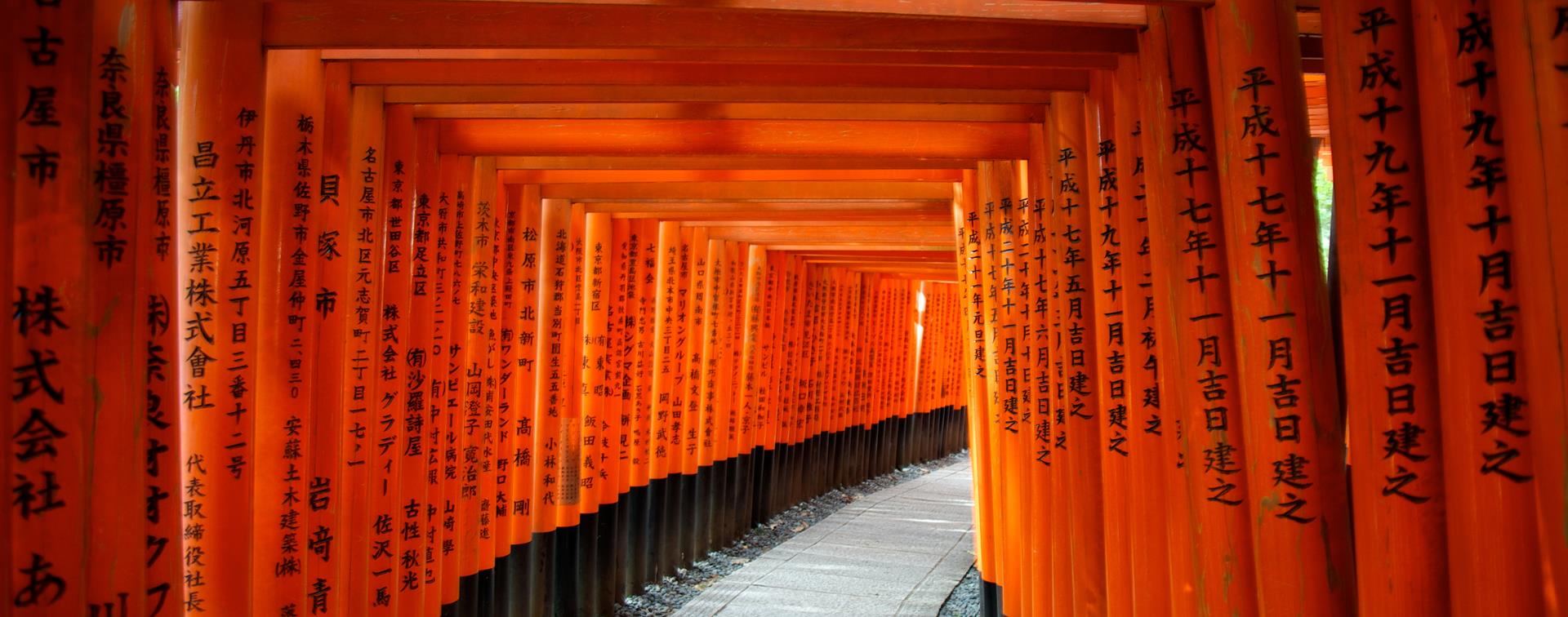 Cảnh những cái cổng Tori nối liền rất đẹp tại Nhật