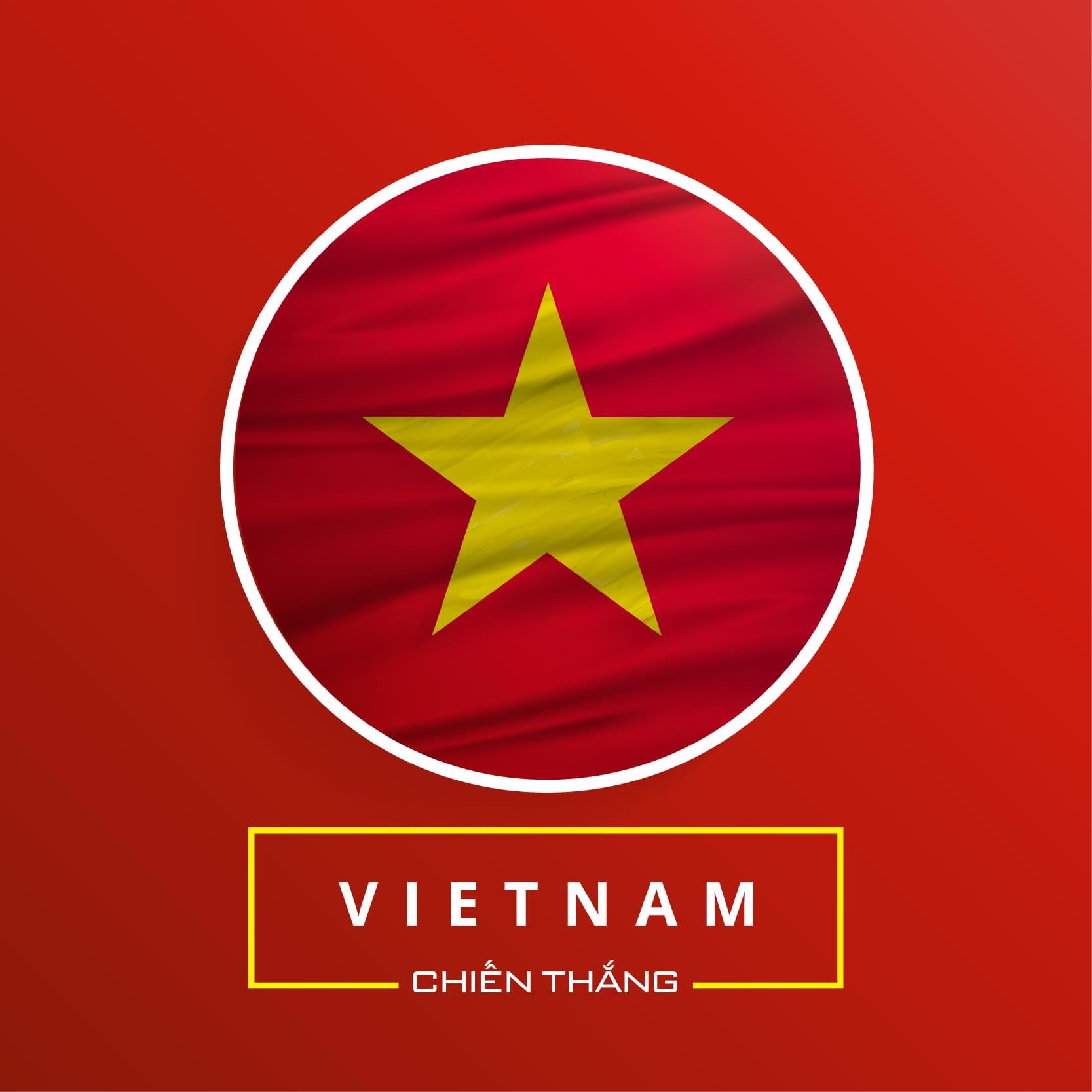 Hình avatar Việt Nam chiến thắng
