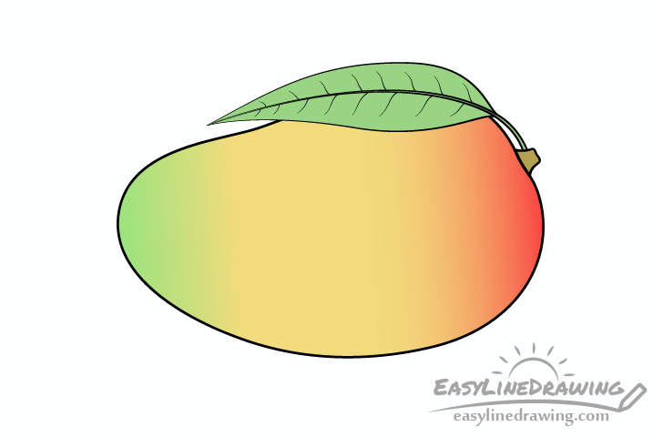 mango drawing - Hướng dẫn cách vẽ quả xoài đơn giản với 6 bước cơ bản cho bé tô màu