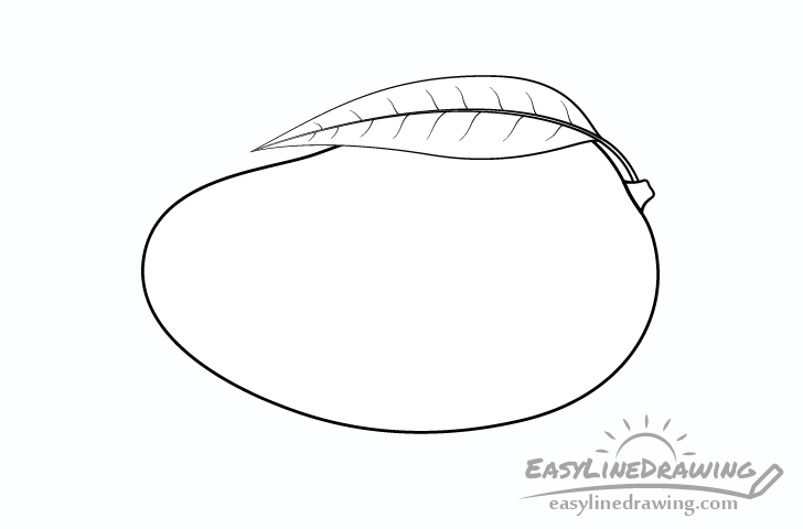 mango line drawing - Hướng dẫn cách vẽ quả xoài đơn giản với 6 bước cơ bản cho bé tô màu
