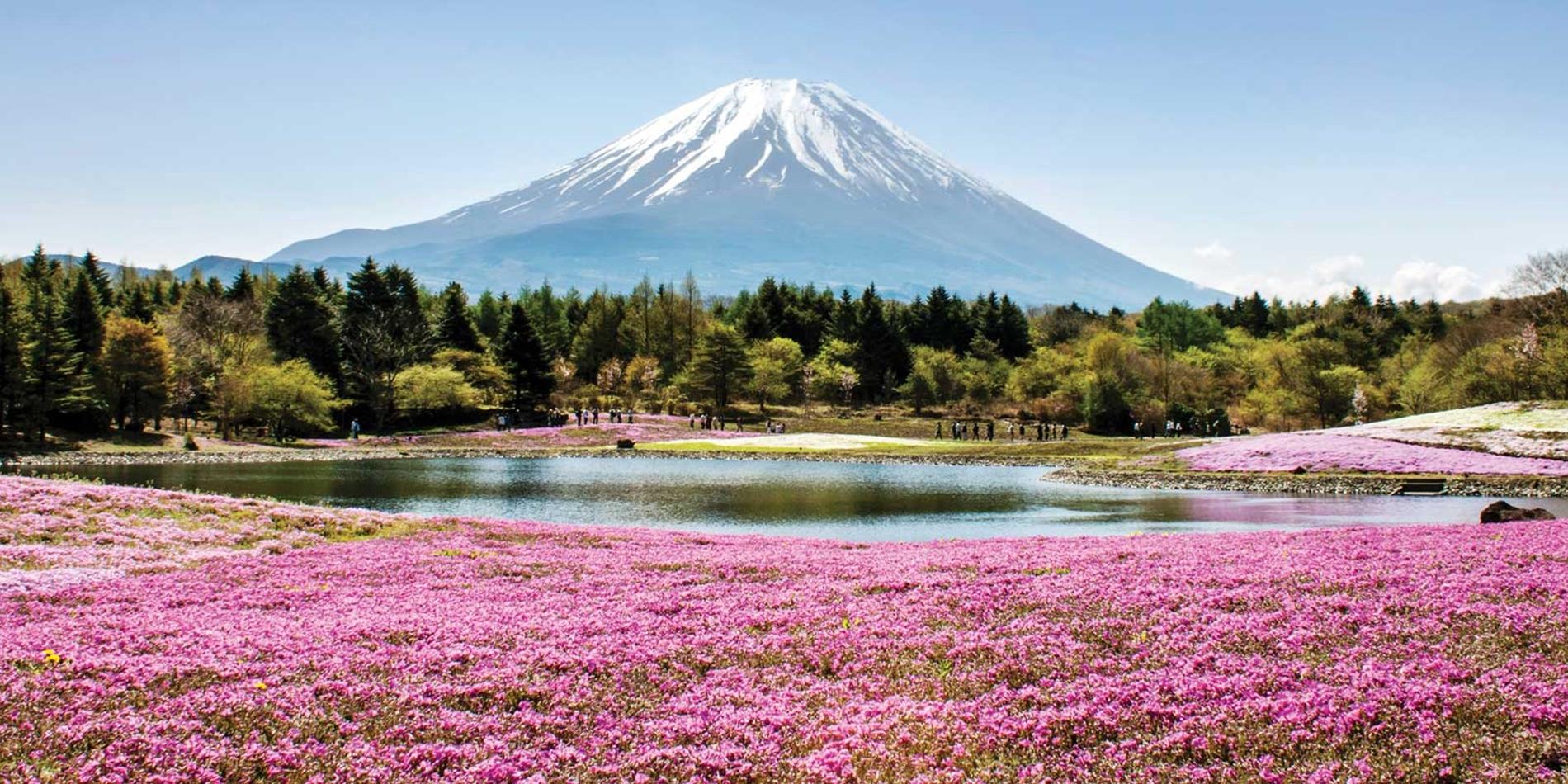 Mùa xuân về núi Phú Sĩ Nhật Bản lại trở nên đẹp hơn bao giờ hết