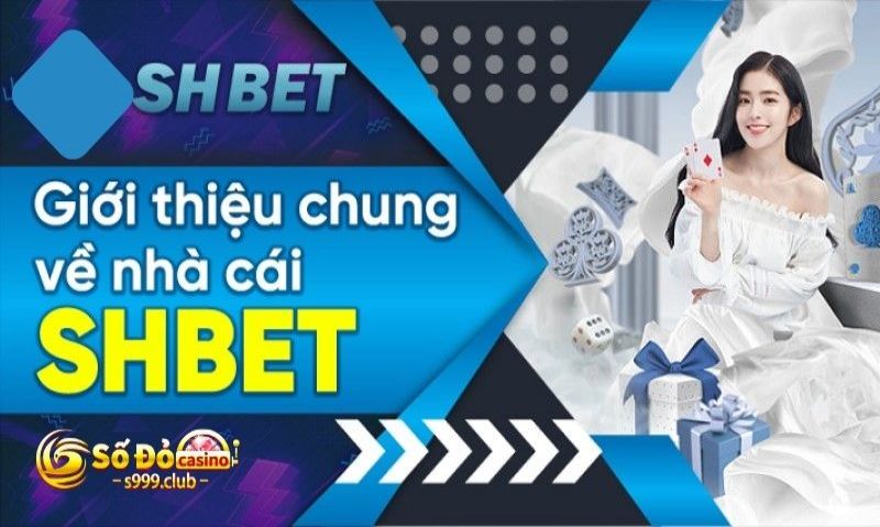 Cơ Hội Kinh Doanh Cá Cược Trực Tuyến Liên Kết Làm Đại lý shbet